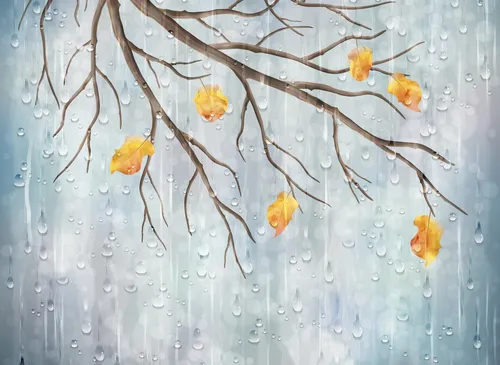 Осень Дождь Обои на телефон дерево с желтыми цветами