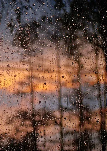 Осень Дождь Обои на телефон окно, покрытое дождем