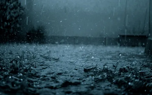 Осень Дождь Обои на телефон группа уток в пруду