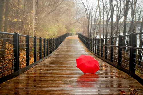 Осень Дождь Обои на телефон красный зонт на мосту