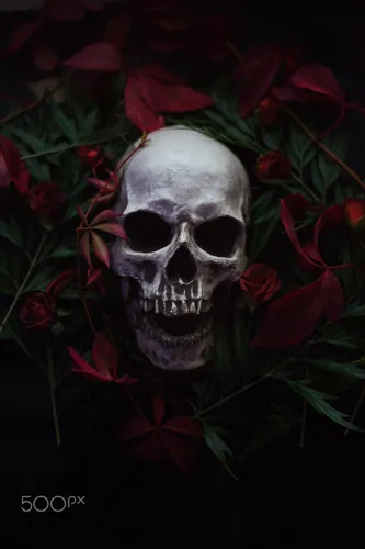 Череп Обои на телефон череп в окружении красных цветов
