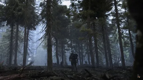 Сталкер Обои на телефон человек, идущий по лесу