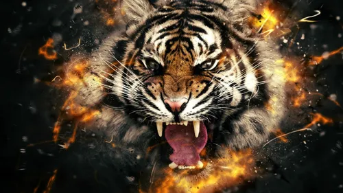 Тигр Фото Обои на телефон тигр с высунутым языком