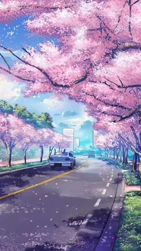 Японские Обои на телефон автомобиль едет по дороге с розовыми деревьями по обе стороны