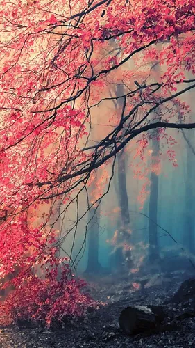 Японские Обои на телефон дерево с красными листьями