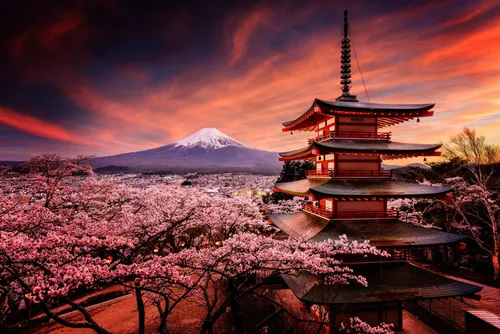 Японские Обои на телефон пагода с розовыми цветами перед ней и Киёмидзу-дэра на заднем плане