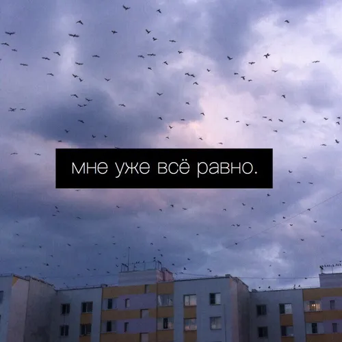 Депрессивные Обои на телефон группа птиц, летающих над зданиями