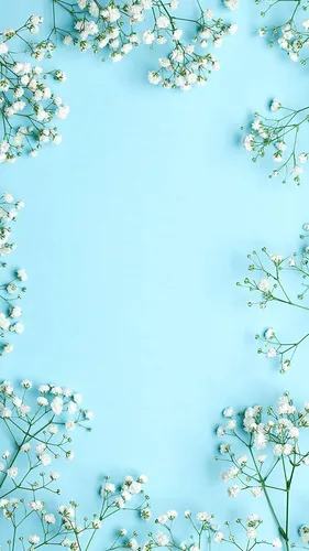 Нежно Голубые Обои на телефон дерево с белыми цветами