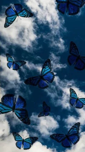 Нежно Голубые Обои на телефон группа бабочек, летающих в небе