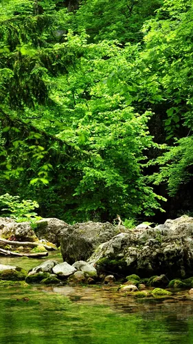 Hd Природа Обои на телефон река со скалами и деревьями