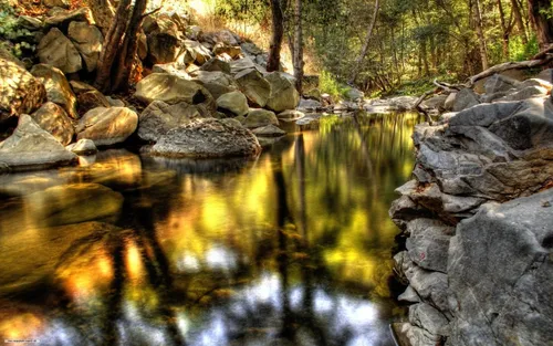 Hd Природа Обои на телефон ручей со скалами и деревьями