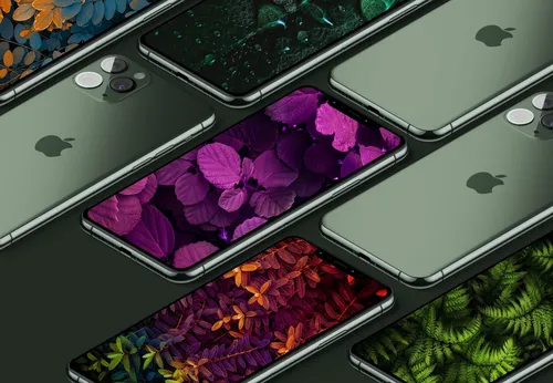 Айфон 11 Обои на телефон группа ноутбуков с фиолетовыми цветами
