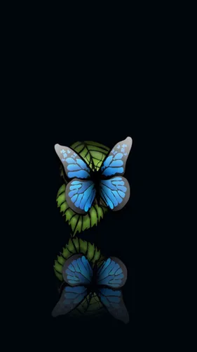 Бабочки На Черном Фоне Обои на телефон бабочка на листе