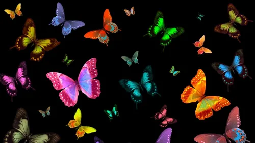 Бабочки На Черном Фоне Обои на телефон арт
