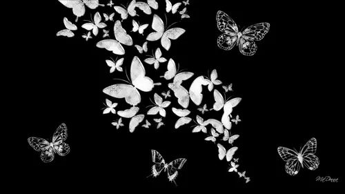 Бабочки На Черном Фоне Обои на телефон  скачать фото