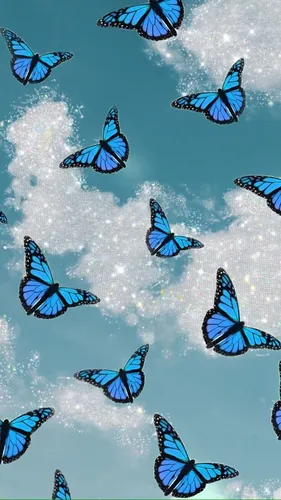 Бабочки На Черном Фоне Обои на телефон группа голубых бабочек