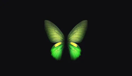 Бабочки На Черном Фоне Обои на телефон зеленый лист с желтыми пятнами