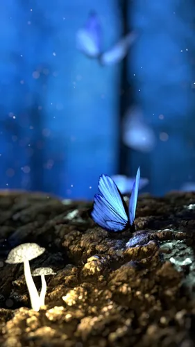 Бабочки На Черном Фоне Обои на телефон голубая бабочка на скале