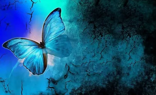 Бабочки На Черном Фоне Обои на телефон голубая бабочка на листе