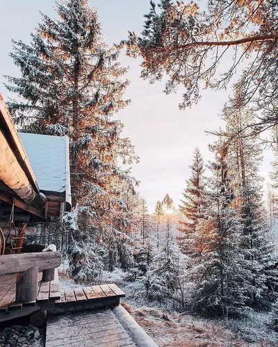 Зима Уют Обои на телефон дом с деревьями вокруг него