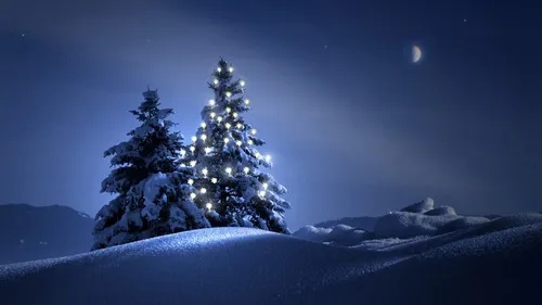 Зима Уют Обои на телефон пара деревьев в снежном пейзаже