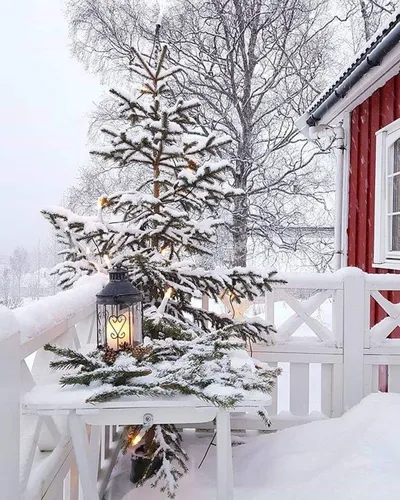 Зима Уют Обои на телефон дерево, покрытое снегом